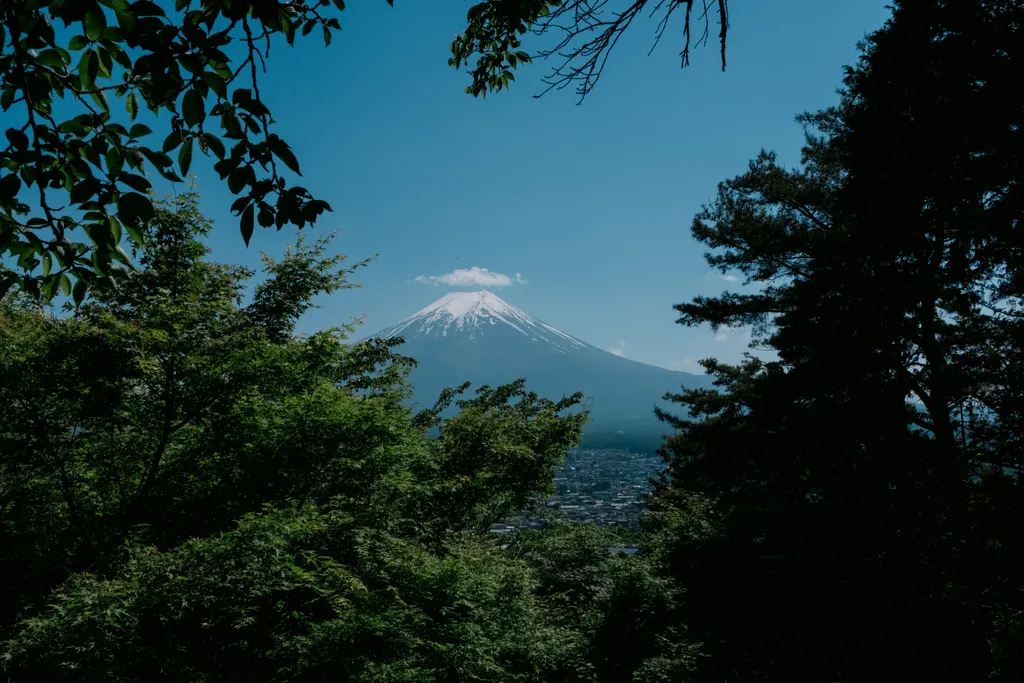 Mount Fuji framed by trees on a clear day