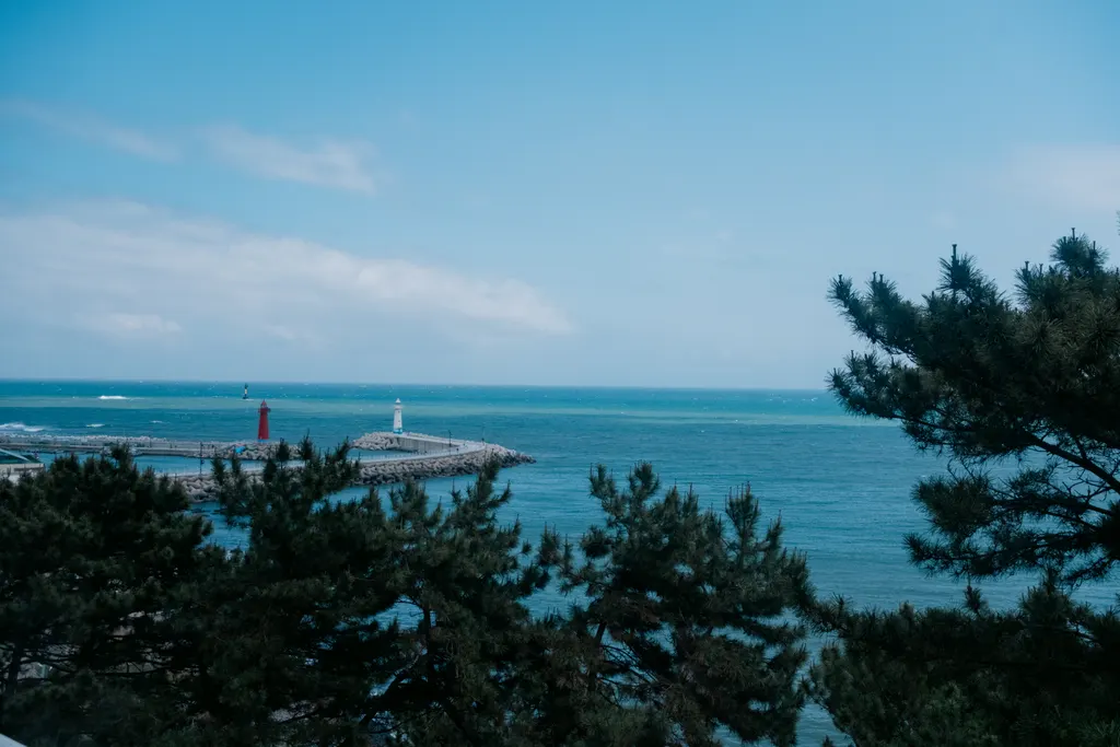 The coast seen through pine branches at Haeundae Blueline Park, with a red lighthouse on the breakwater