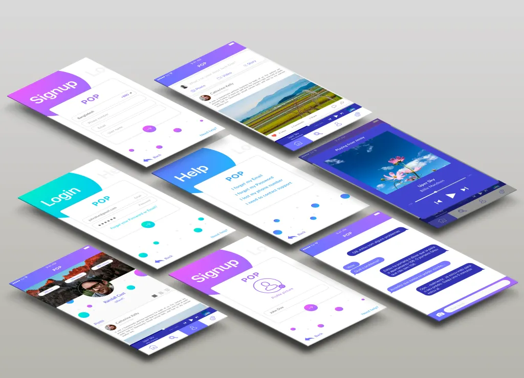 POP project interface