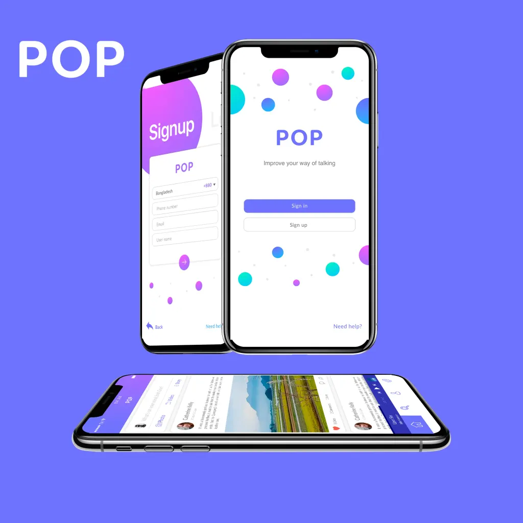 POP project interface, second view